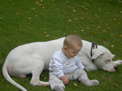 un chien est un bébé